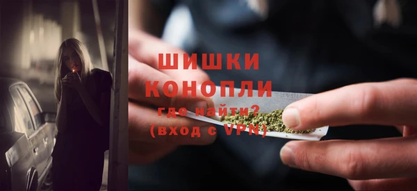 PSILOCYBIN Арсеньев