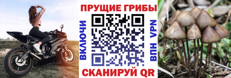 Галлюциногенные грибы MAGIC MUSHROOMS  Аргун 