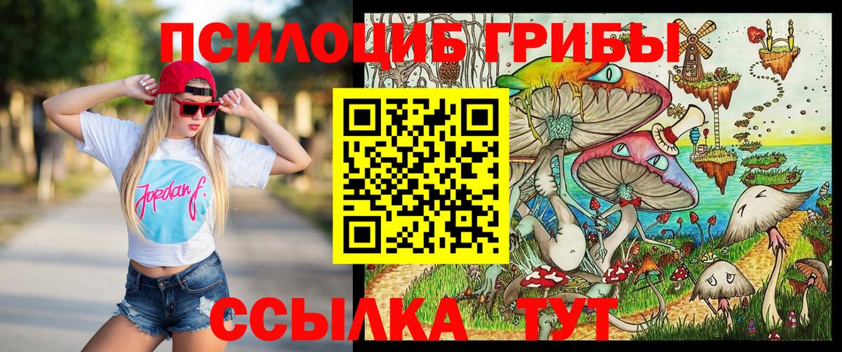 Псилоцибиновые грибы MAGIC MUSHROOMS  Вход с VPN  Аргун 