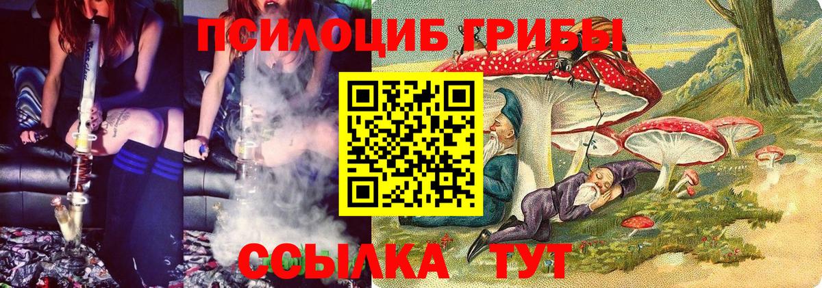 Псилоцибиновые грибы Magic Shrooms Аргун