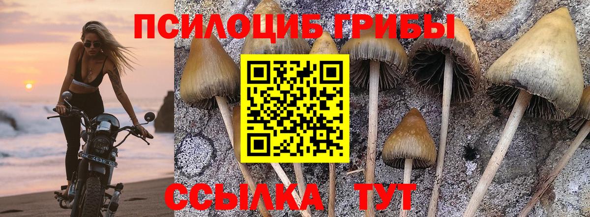 Псилоцибиновые грибы ЛСД Аргун