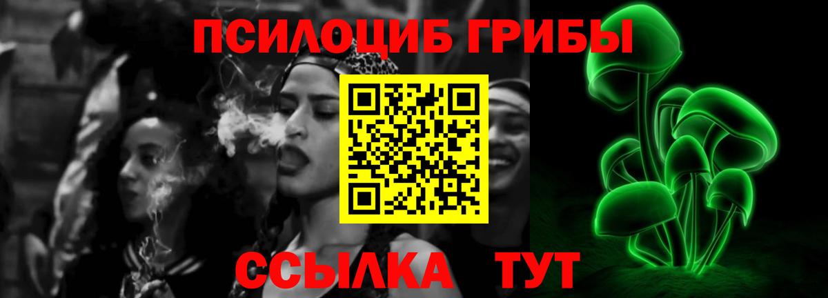 Псилоцибиновые грибы Psilocybine cubensis  Псилоцибиновые грибы мицелий  Аргун 