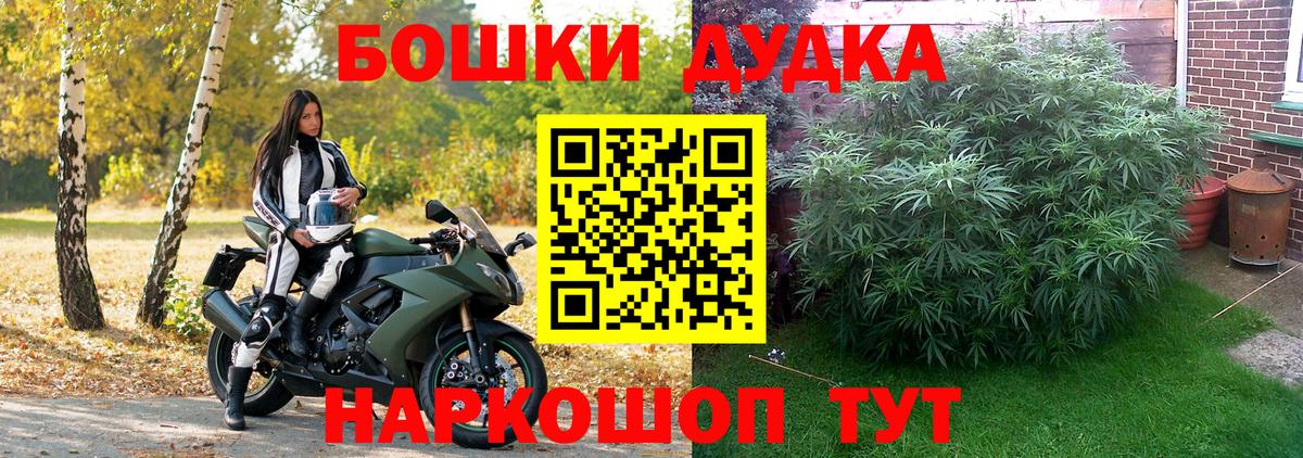 Конопля Bruce Banner Аргун